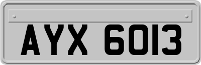 AYX6013