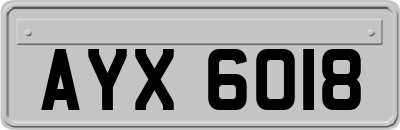 AYX6018