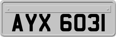 AYX6031