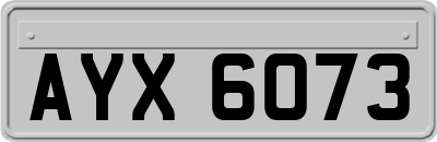 AYX6073