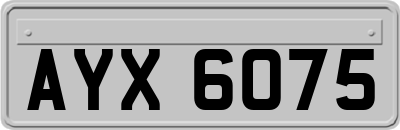 AYX6075