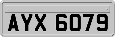 AYX6079