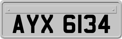 AYX6134