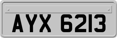 AYX6213