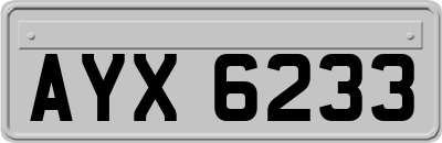 AYX6233