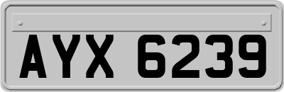 AYX6239