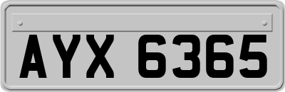 AYX6365