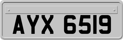 AYX6519