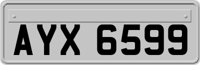 AYX6599