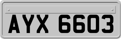 AYX6603
