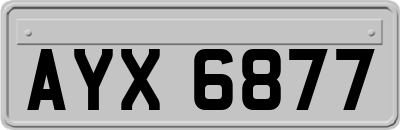 AYX6877