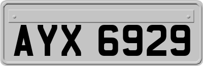 AYX6929