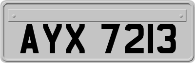 AYX7213
