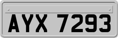 AYX7293