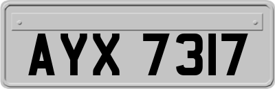 AYX7317