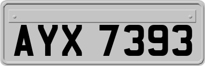 AYX7393