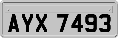 AYX7493