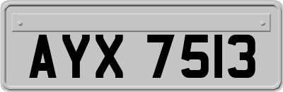 AYX7513