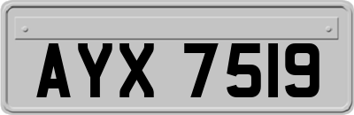 AYX7519