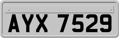 AYX7529