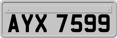 AYX7599