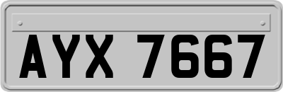 AYX7667