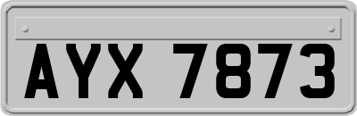 AYX7873