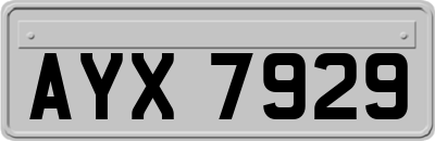 AYX7929