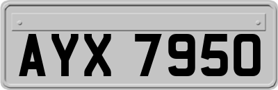 AYX7950