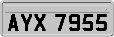 AYX7955