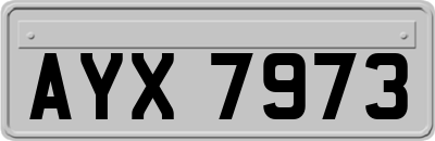 AYX7973