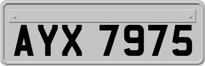 AYX7975