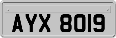 AYX8019