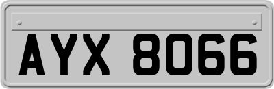 AYX8066