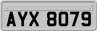 AYX8079