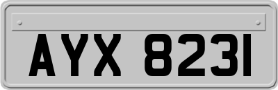 AYX8231