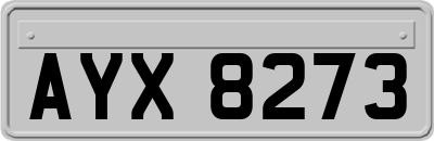 AYX8273