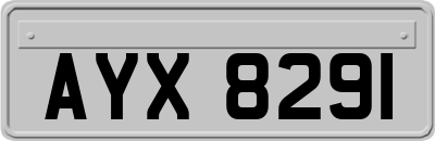 AYX8291