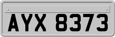 AYX8373