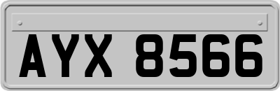 AYX8566