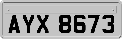 AYX8673