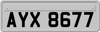 AYX8677