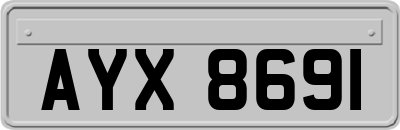 AYX8691