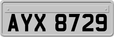 AYX8729