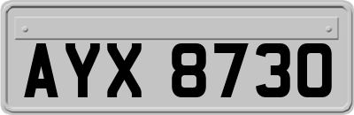 AYX8730