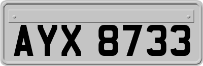 AYX8733