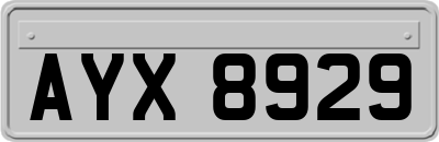 AYX8929
