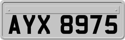 AYX8975
