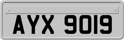 AYX9019