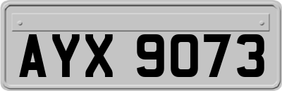 AYX9073